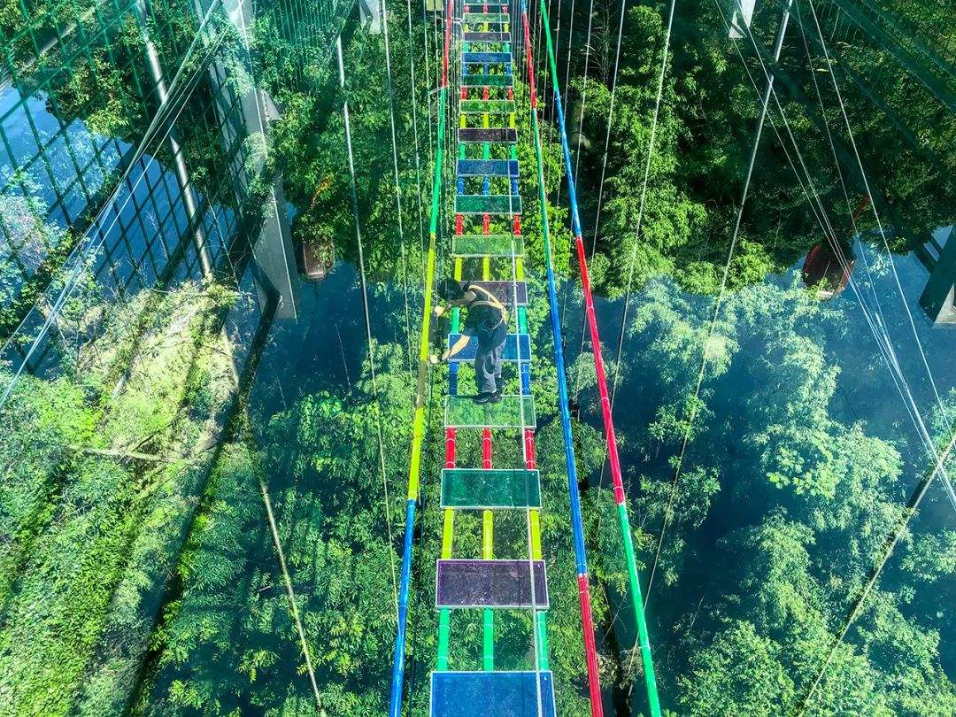 步步惊心